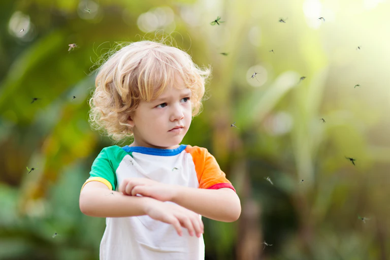 Enfant au milieu de moustiques.