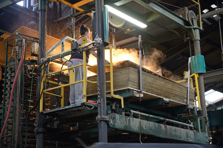 A person working in a saw mill