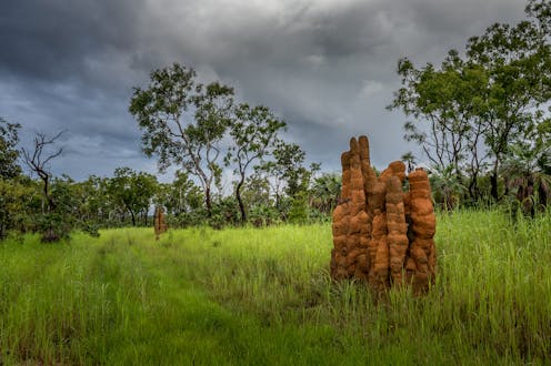 Land clearing and fracking in Australia's Northern Territory threatens the world's largest intact tropical savanna
