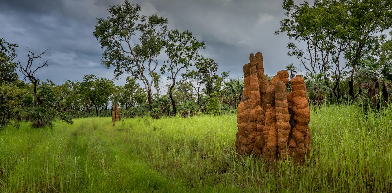 Land clearing and fracking in Australia’s Northern Territory threatens ...