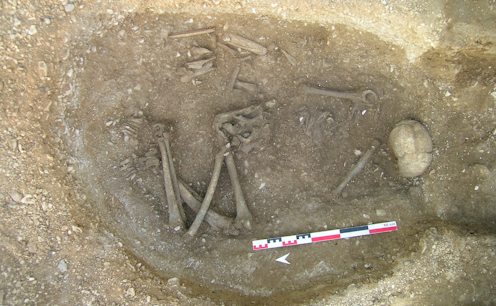 In a Stone Age cemetery, DNA reveals a treasured 'founding father' and a legacy of prosperity for his sons