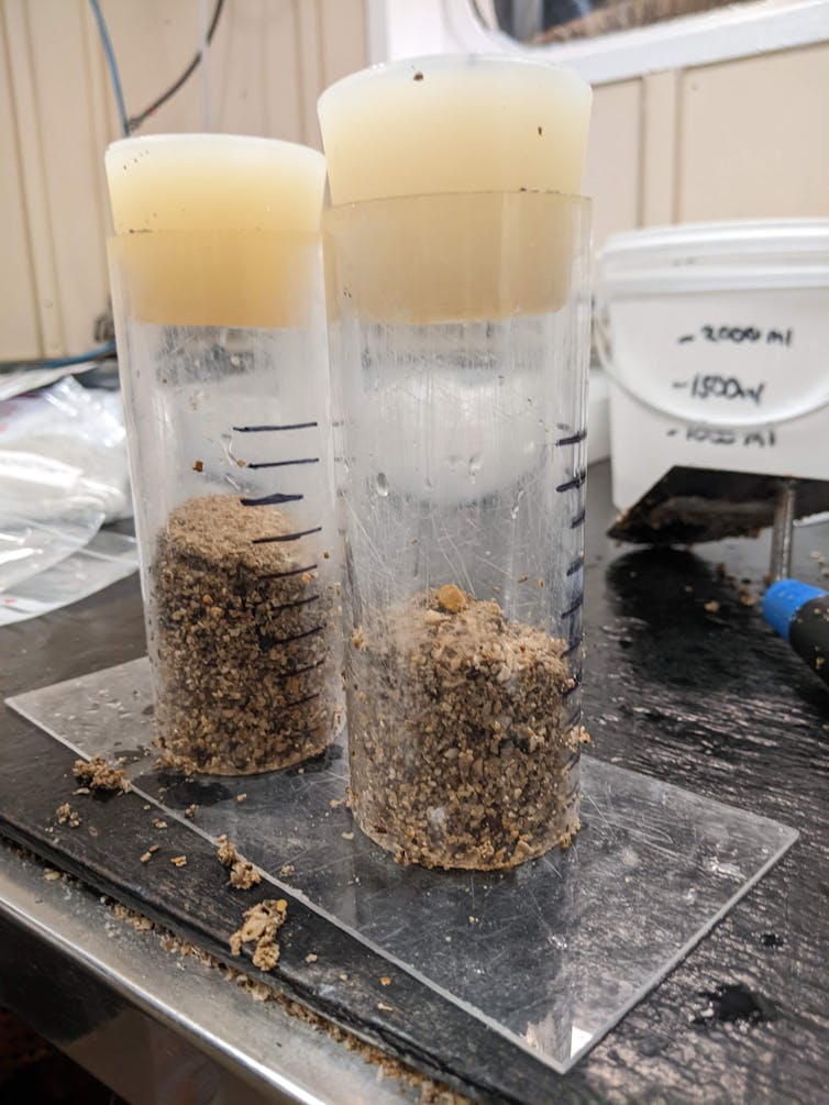 Two glass beakers containing sediment with wax stoppers.