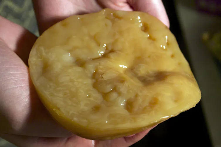 Masa amarillenta y brillante.