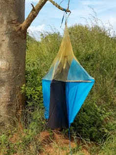 A blue canvas, diamond shaped container is suspended from a tree.