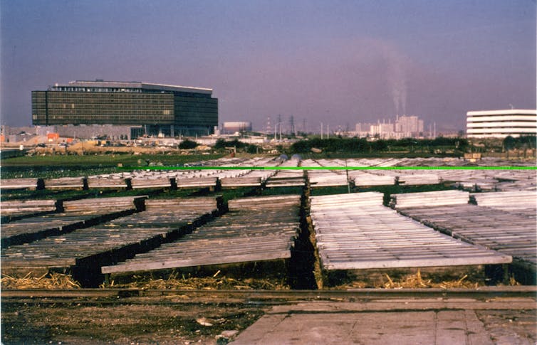 Vu de la plaine de Créteil, montrant des exploitations maraichères