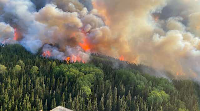 A wildfire burns in a forest near the town in Ontario.