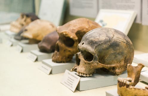 4 reasons not teaching evolution in schools is immoral