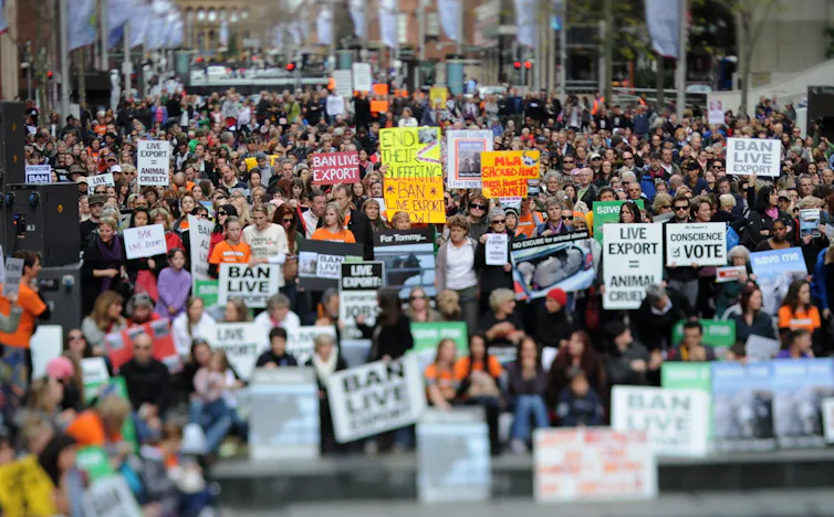 Rally to support an end to Australia's live animal export trade, Sydney, Sunday, August 14, 2011.
