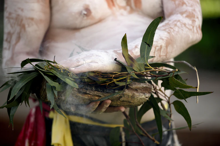 A man painted in white ochre performs a smoking ceremony during NAIDOC Week. He uses gum leaves in a coolamon.