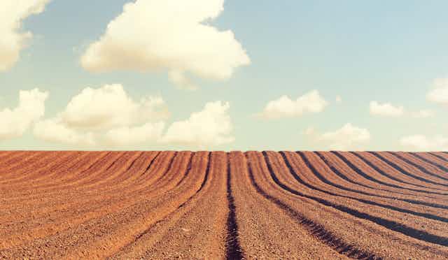 A ploughed field under a cloudy sky.