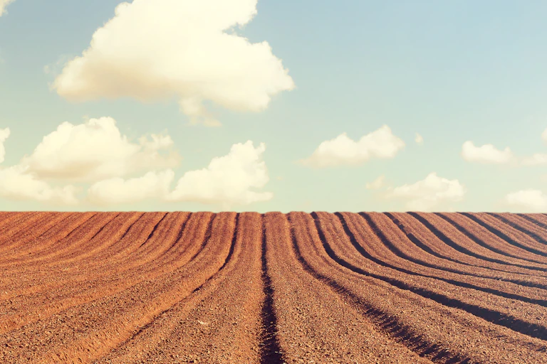 A ploughed field under a cloudy sky.