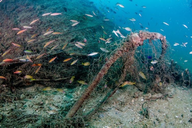 A net on the seafloor containing fish.