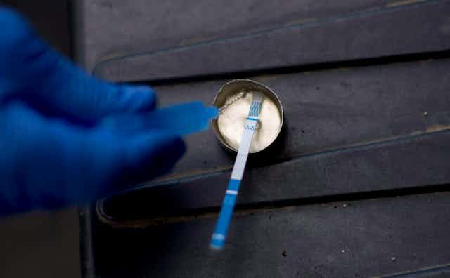 A gloved hand uses a test strip to test drugs in a small metal cup