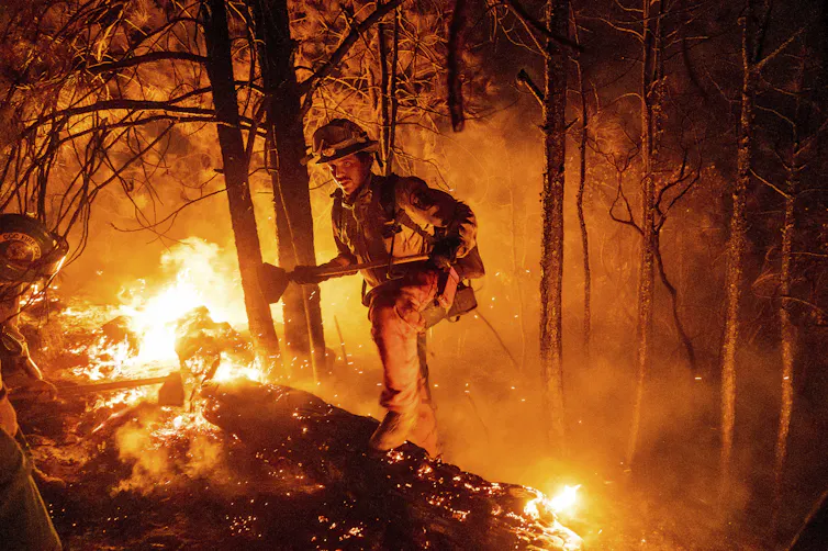 A firefighter manages a wildfire.