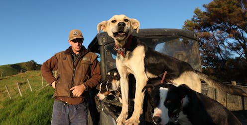 Consumers want NZ farmers to comply with regulations -- better monitoring and transparency would help to build trust