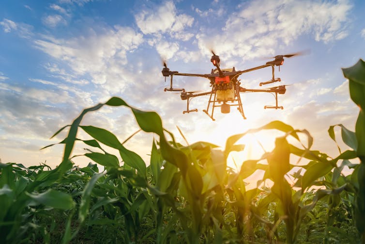 A drone flying over a farm.