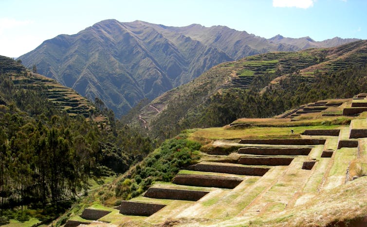 Dark Peruvian mountains in the background and massive Incan steps carved into the highlands carpeted with green plant material.