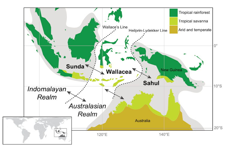 Un mapa de Indonesia, Nueva Guinea y el norte de Australia con líneas que muestran regiones donde viven diferentes zonas climáticas y de fauna.