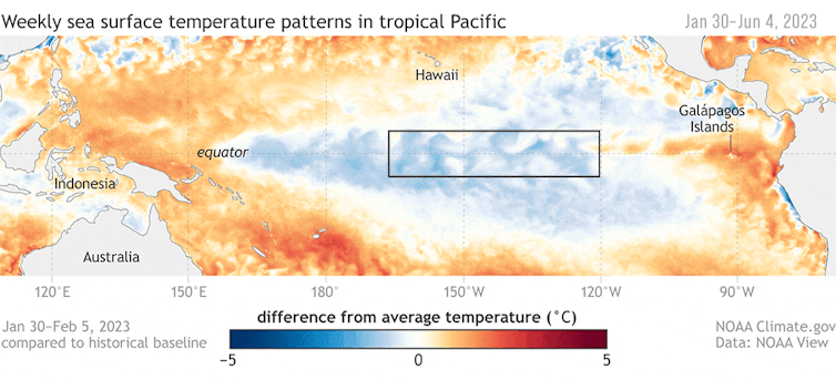 Animated map of sea surface temperatures in the Pacific Ocean, January 30 to June 4, 2023.