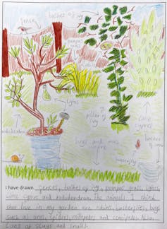 A child's drawing of the plants and animals in their garden.