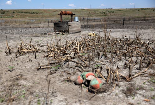 Kakhovka Dam breach in Ukraine caused economic, agricultural and ecological devastation that will last for years