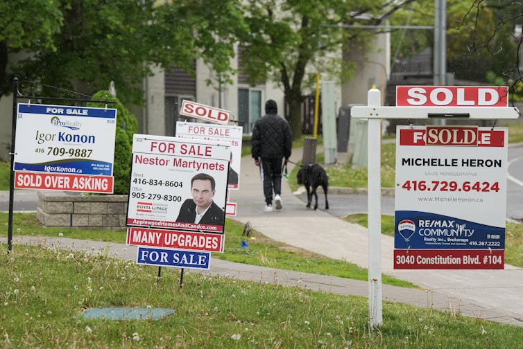 A person in a hooded jacket and track pants walks their dog on a sidewalk lined with real estate sale signs.