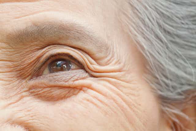 Close-up of left eye and crow's feet of older adult with gray hair 