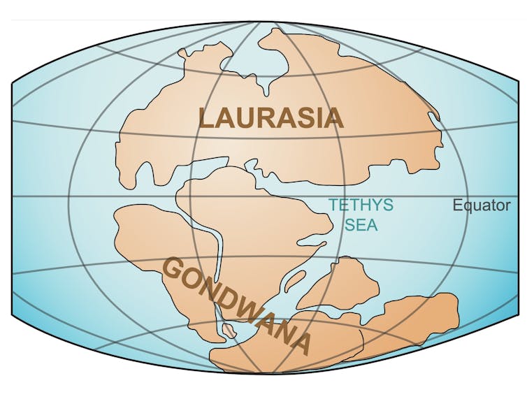 A map of the globe showing the supercontinents Gondwana and Laurasia.