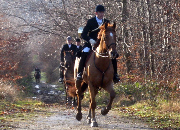 men on horseback ride through forest
