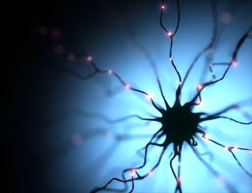 Immune cells in the brain may reduce damage during seizures and promote recovery, according to study in mice