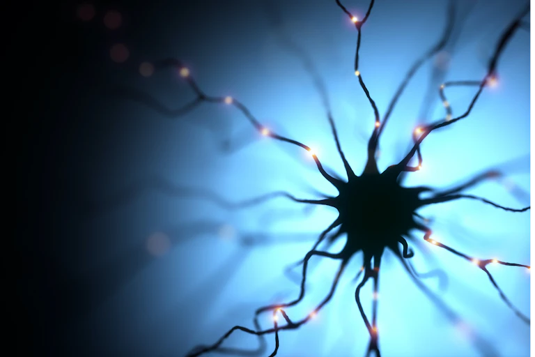 Illustration of nerve cell in high contrast, glowing orbs running down its dendrites