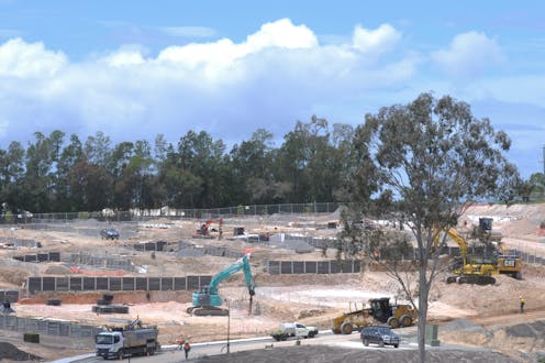 Developers aren't paying enough to offset impacts on koalas and other endangered species