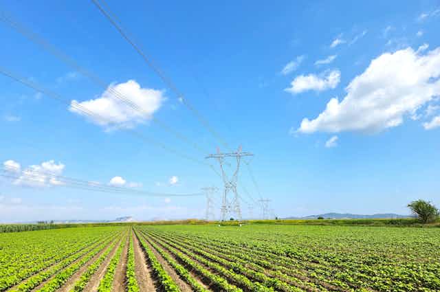 powerlines over farm