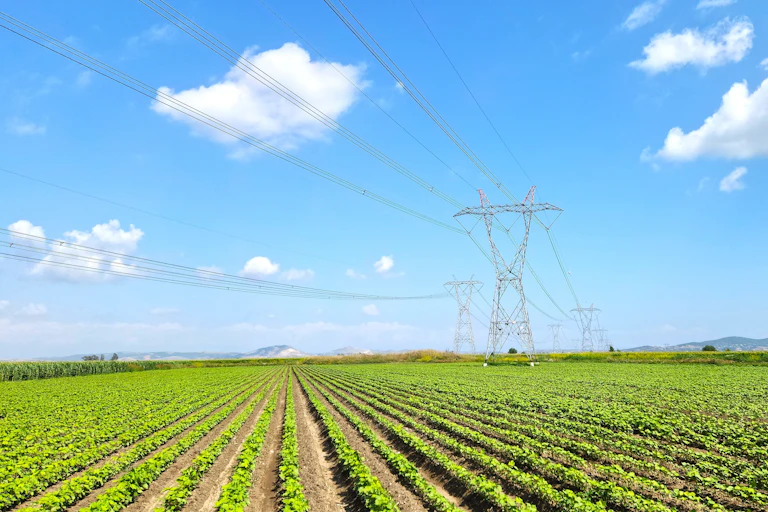powerlines over farm