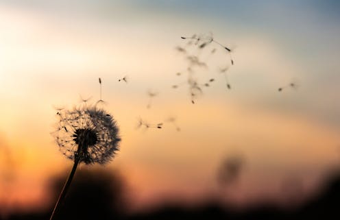 from angry gods and fertile myths to battleships and new technologies – how the wind shapes our world