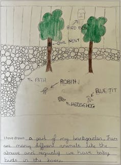 Child's pencil drawing with animals such as an owl, hedgehog, blue tit and robin labelled.