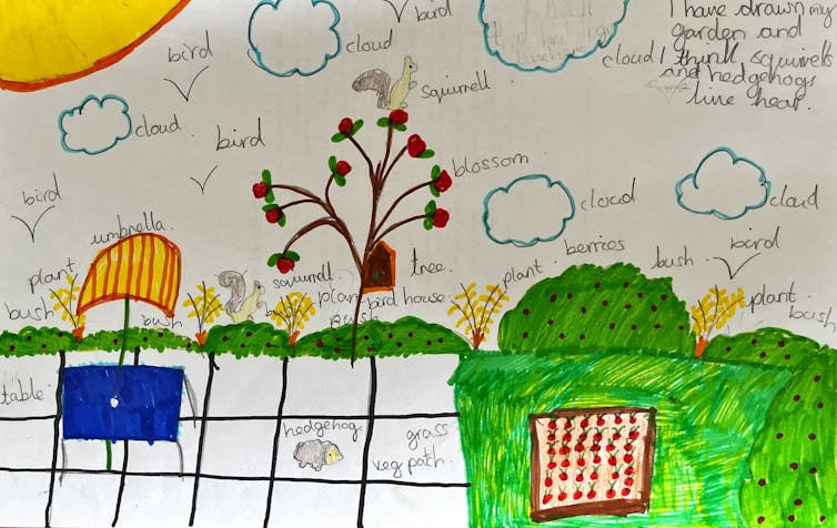A child's drawing of their back garden, with animals and plants labeled