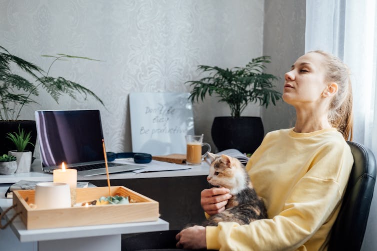 A woman relaxing in her home office with a cat on her lap.