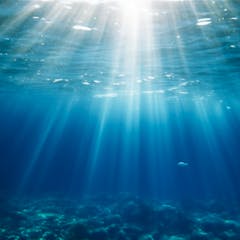 essay on underwater world