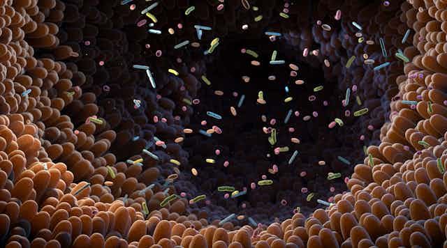 an illustration of a tunnel covered in bacteria. other multicoloured bacteria are floating in the space.