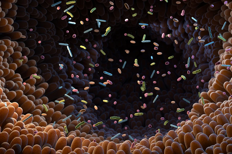 an illustration of a tunnel covered in bacteria. other multicoloured bacteria are floating in the space.