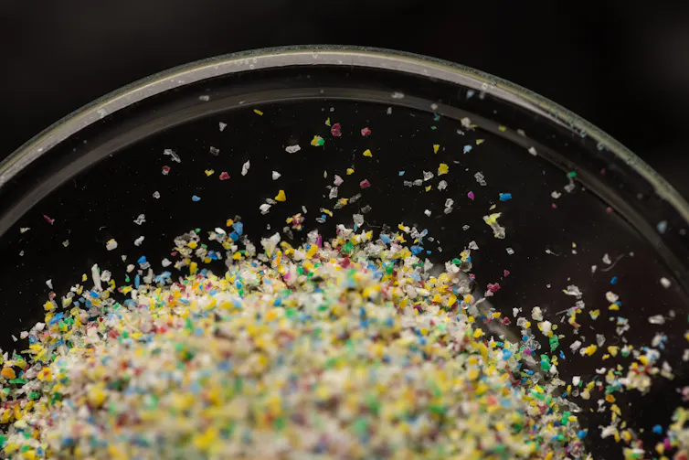 microplastics in a bowl
