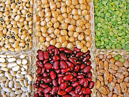 Legumes – News, Research and Analysis – The Conversation – page 1