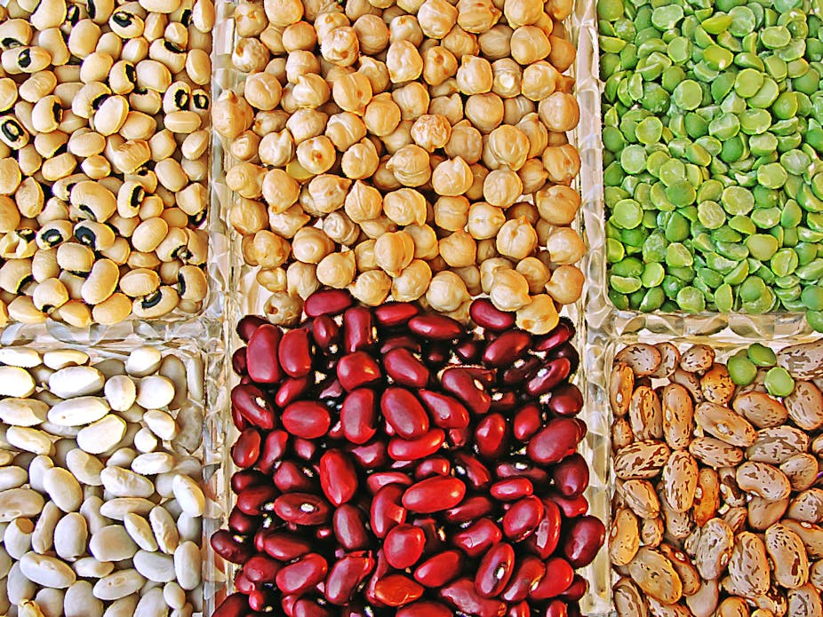 An image of different types of legumes
