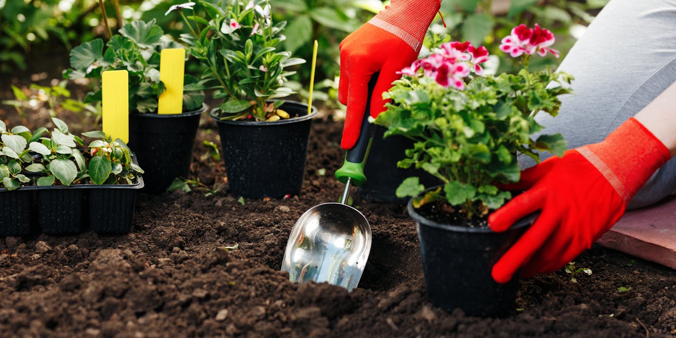 Le jardinage : une activité source de bien-être