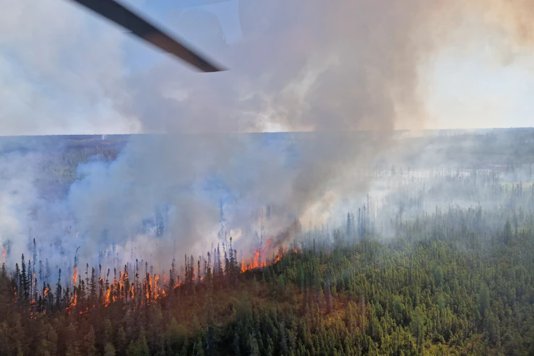 Photo d'un incendie de forêt prise depuis un avion
