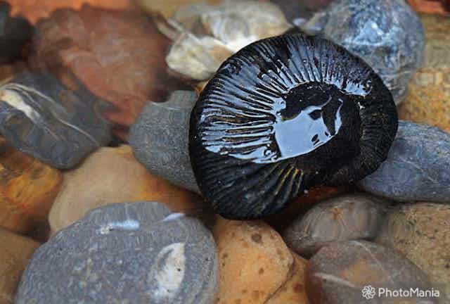 A black stone with markings resting on top of many multicolored rocks.