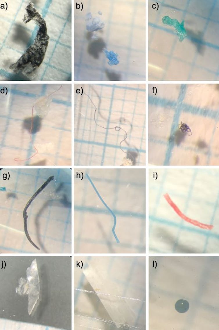 Images of different shapes of plastic particles collected in water samples, showing fragments (a–c), fibre (d–f), filaments (g–i), film ( j,k) and pellets (l).