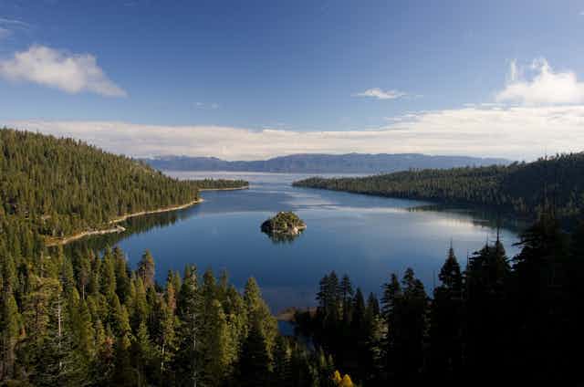 lake with forested fringe