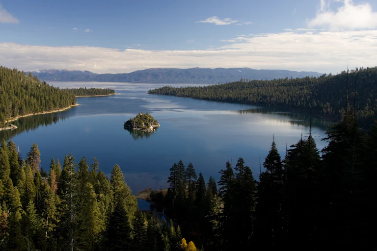 lake with forested fringe